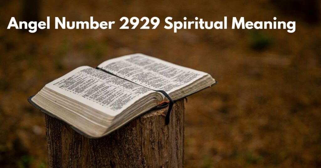 Angel Number 2929 Spiritual Meaning