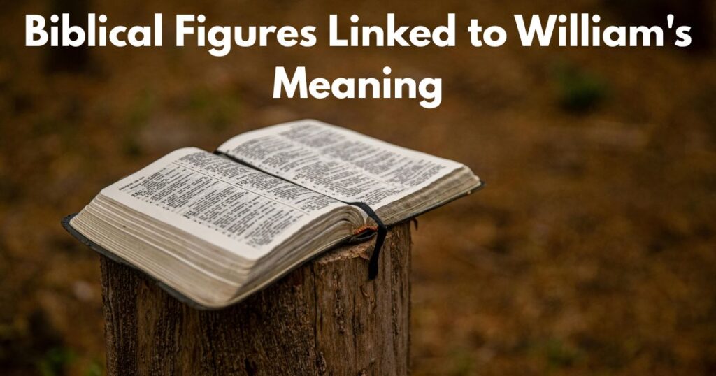 Biblical Figures Linked to William's Meaning