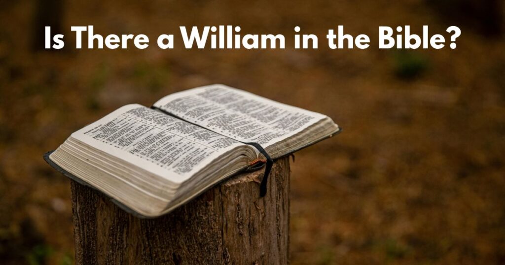 Is There a William in the Bible?