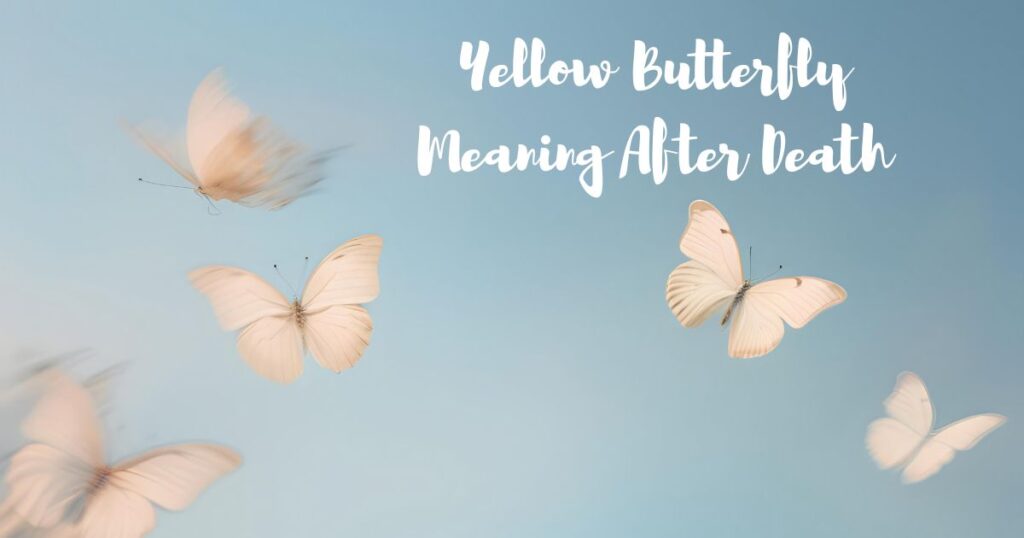 Yellow Butterfly Meaning After Death