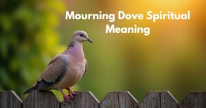Mourning Dove Spiritual Meaning: A Symbol of Peace and Healing
